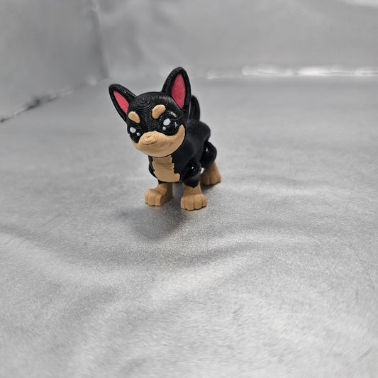 Chihuahua