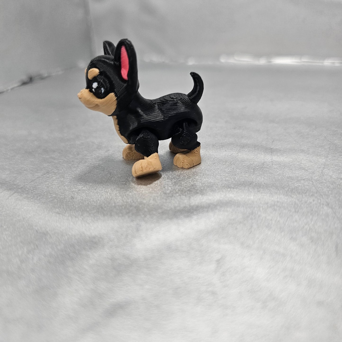 Chihuahua