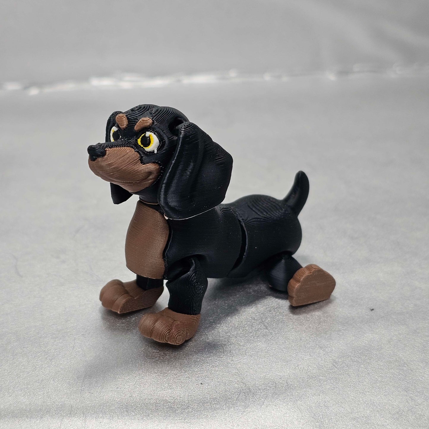 Dachshund